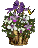 Send a Blooming Basket!